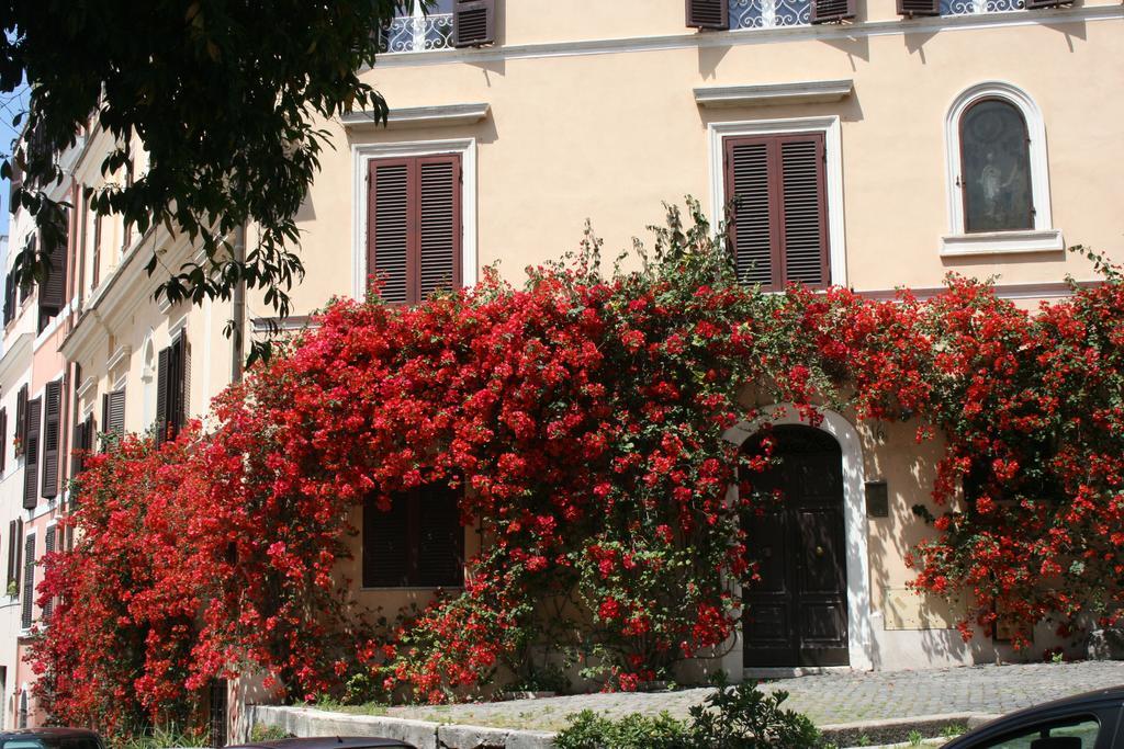Stella's In Monti Appartamento *